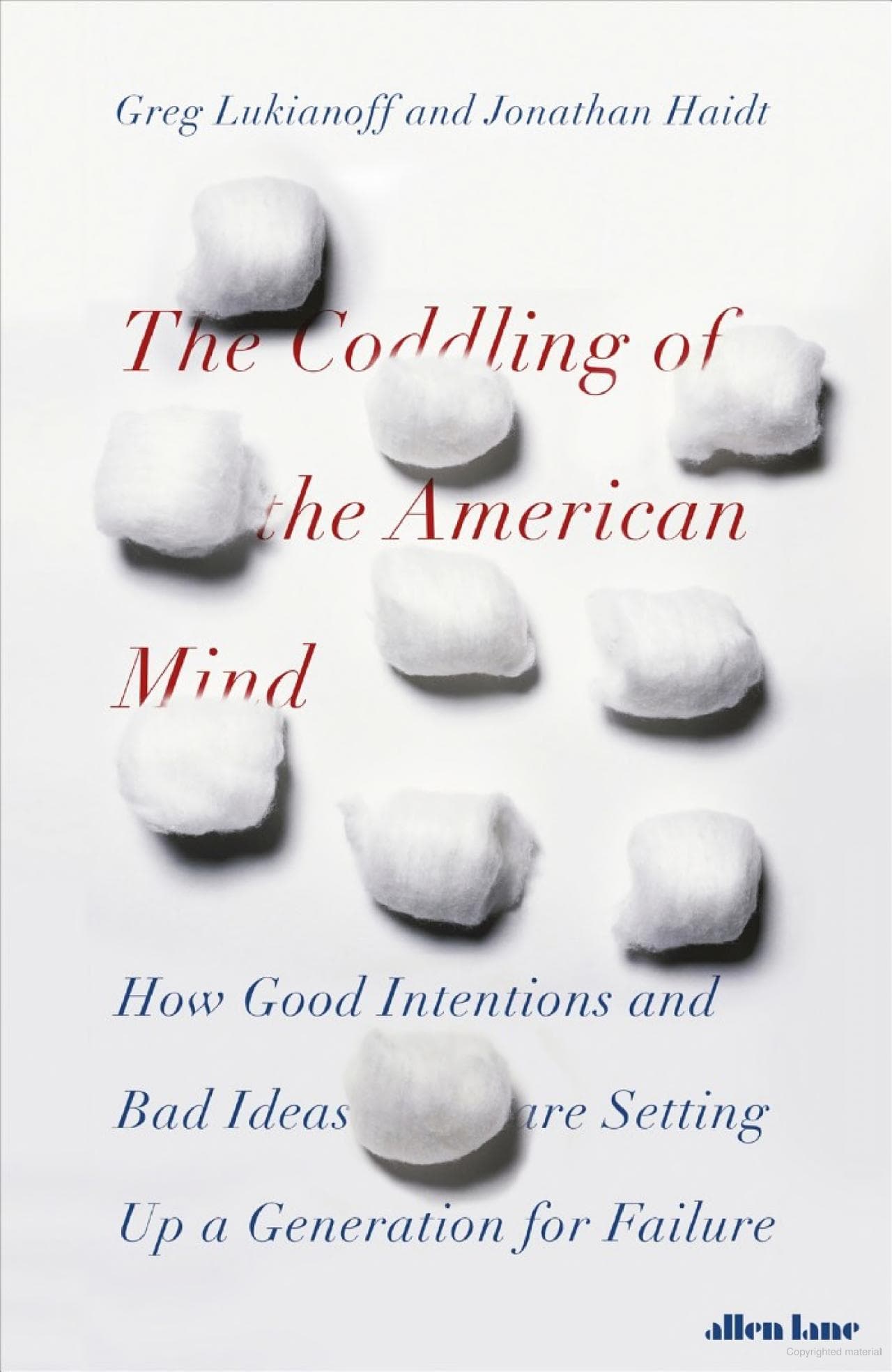 The Coddling of the American Mind — book cover